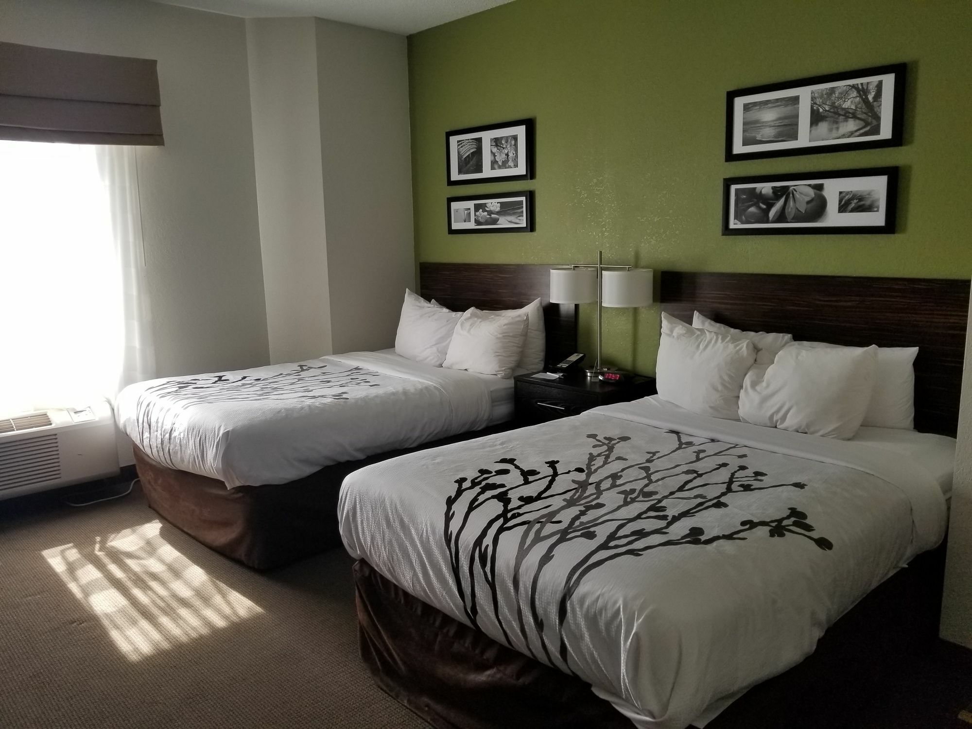 Sleep Inn Walterboro I-95 Luaran gambar